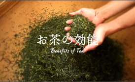 お茶の効能 Benefits of Tea
